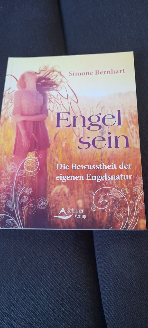 Libri: Engel sein, lebe den Engel in dir – Nuovo (secondo la descrizione) da Küssnacht am Rigi venduto da Froh-Herz