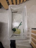 Aquarium mit Zubehör gebrauchter Zustand