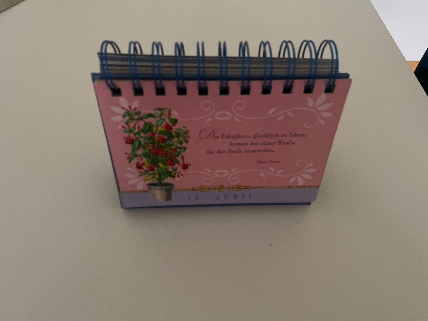 Calendari: Tischkalender – Usato da Schaffhausen venduto da Kolibri023 2