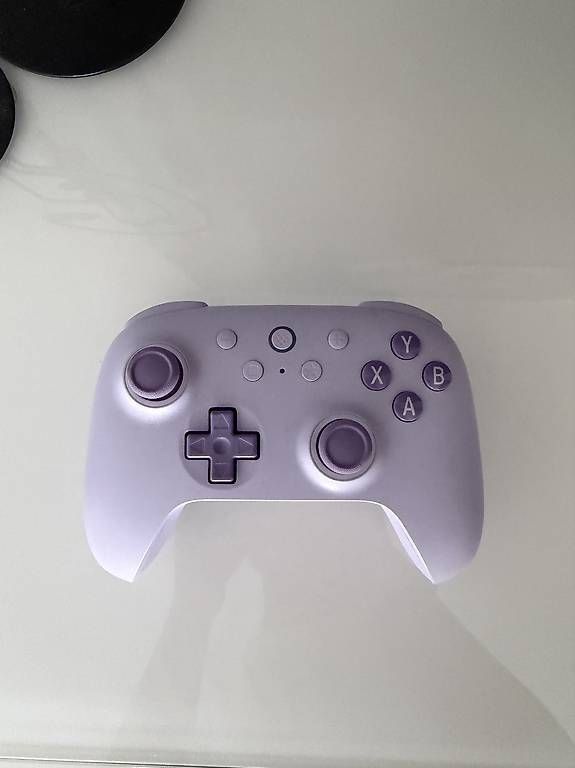 Controller: 8BitDo Wireless Gaming Controller  Top Zustand – Nuovo e nell'imballaggio originale da Wittenbach venduto da 93darian 3