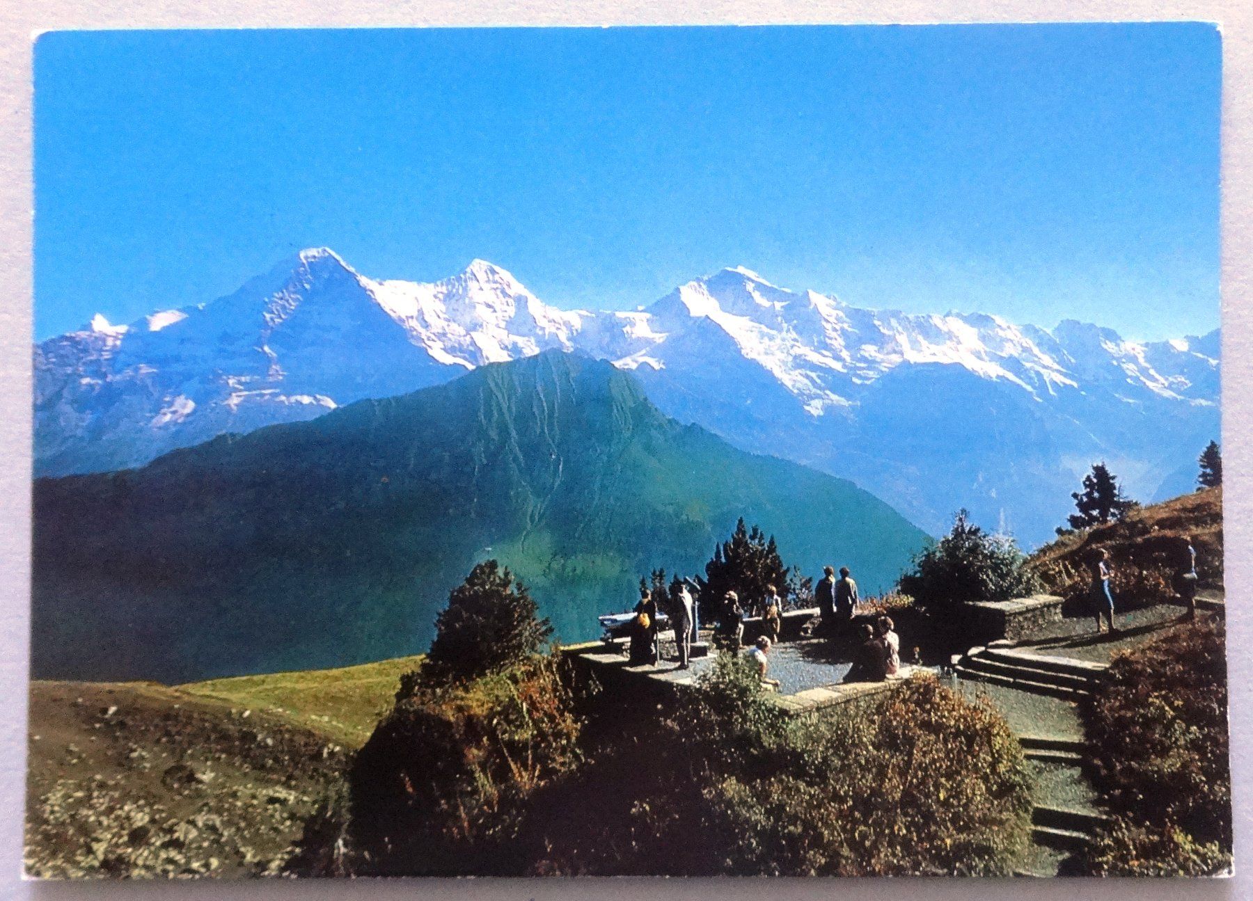 Cartoline postali: Schynige-Platte, Alpengarten – Usato da Fétigny venduto da Billy2miny