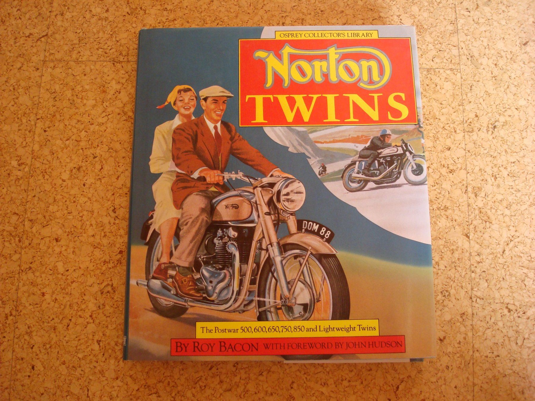 Libri: Norton Twins – Usato da Schinznach-Dorf venduto da heipfi