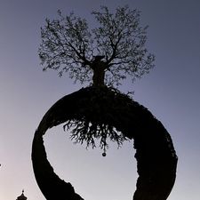 Profile image of Enea2007