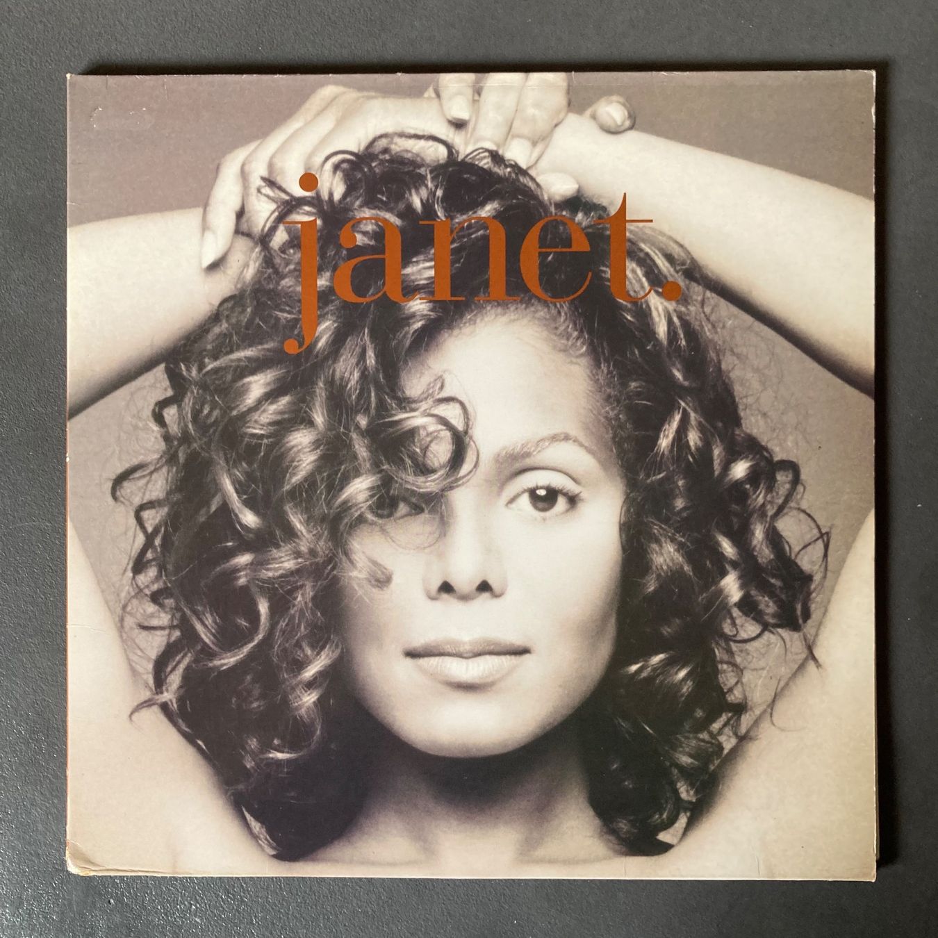 Dischi in vinile: Janet Jackson - janet. - Doppel-LP - 1993 – Usato da dachsen venduto da oheio