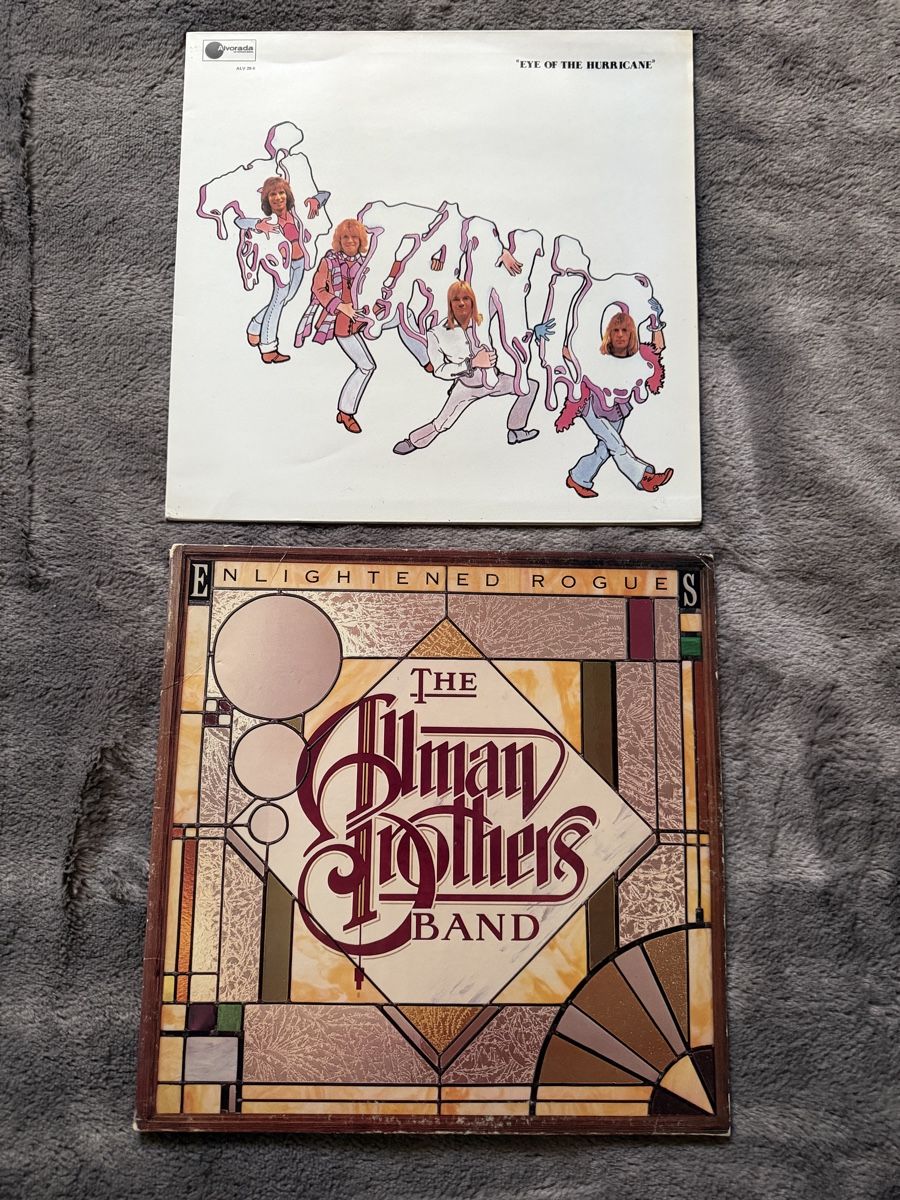 Dischi in vinile: Titanic & The Allman Brothers – Usato da Lausanne venduto da rkiko11 2