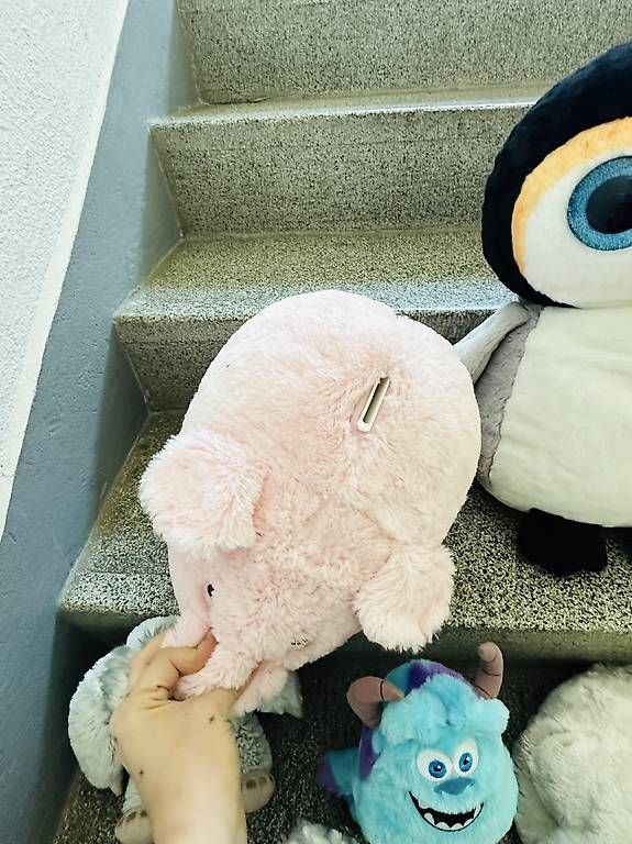 Giocattoli: Kuscheltiere  viele verschiedene  ab 3 CHF  – Usato da Solothurn venduto da Rafaella_K 3