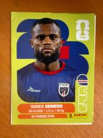 Panini CPV9