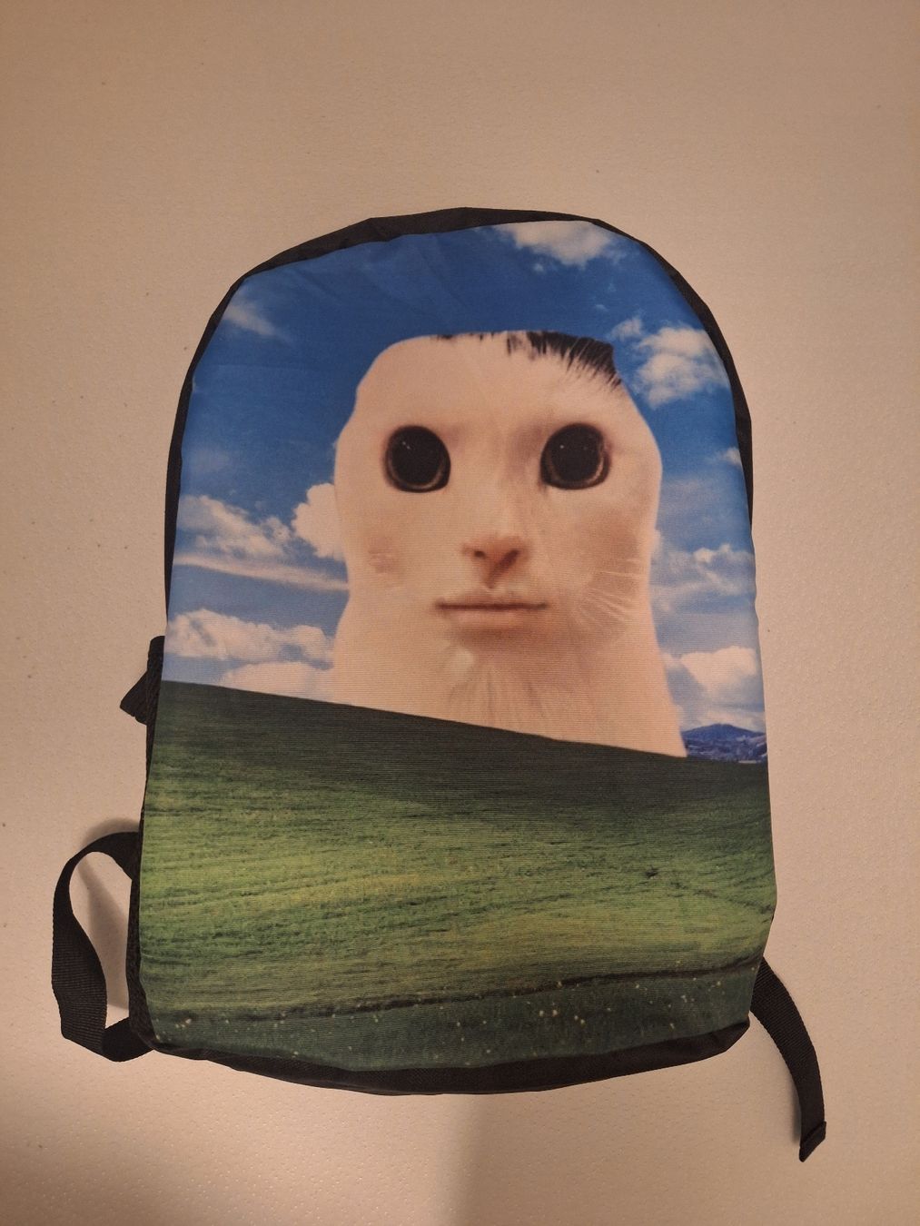 Rucksäcke: Backpack with Cat Meme - Black, New Condition – Neu (gemäss Beschreibung) aus Biel/Bienne von Seyran