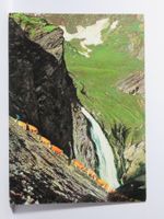 Alpabzug nach Engstligenalp b. Adelboden