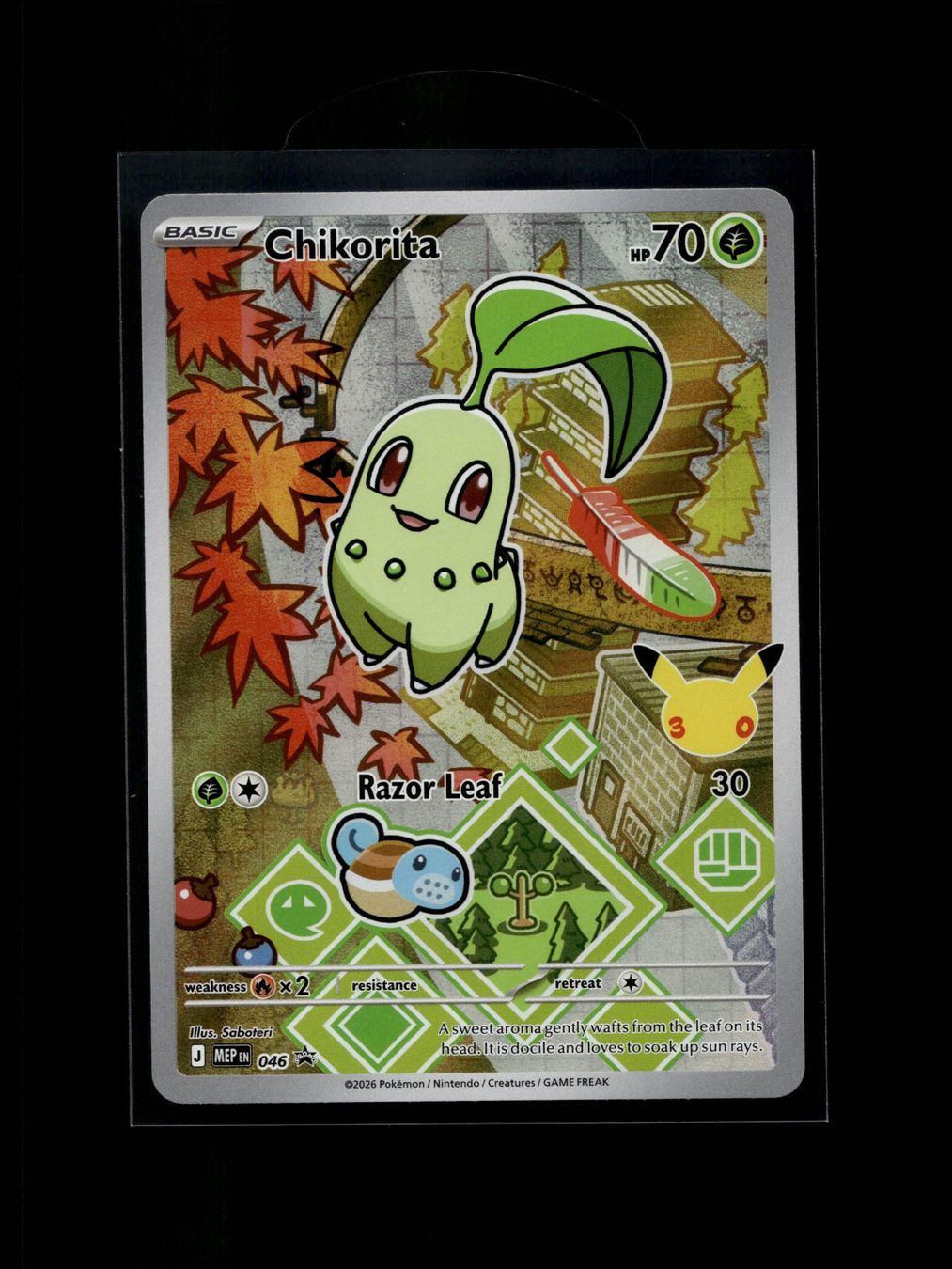 Pokémon Carte collezionabili: Pokemon First Partner Series 2 - Complete Set - English – Nuovo (secondo la descrizione) da Dietlikon venduto da bsommer 9
