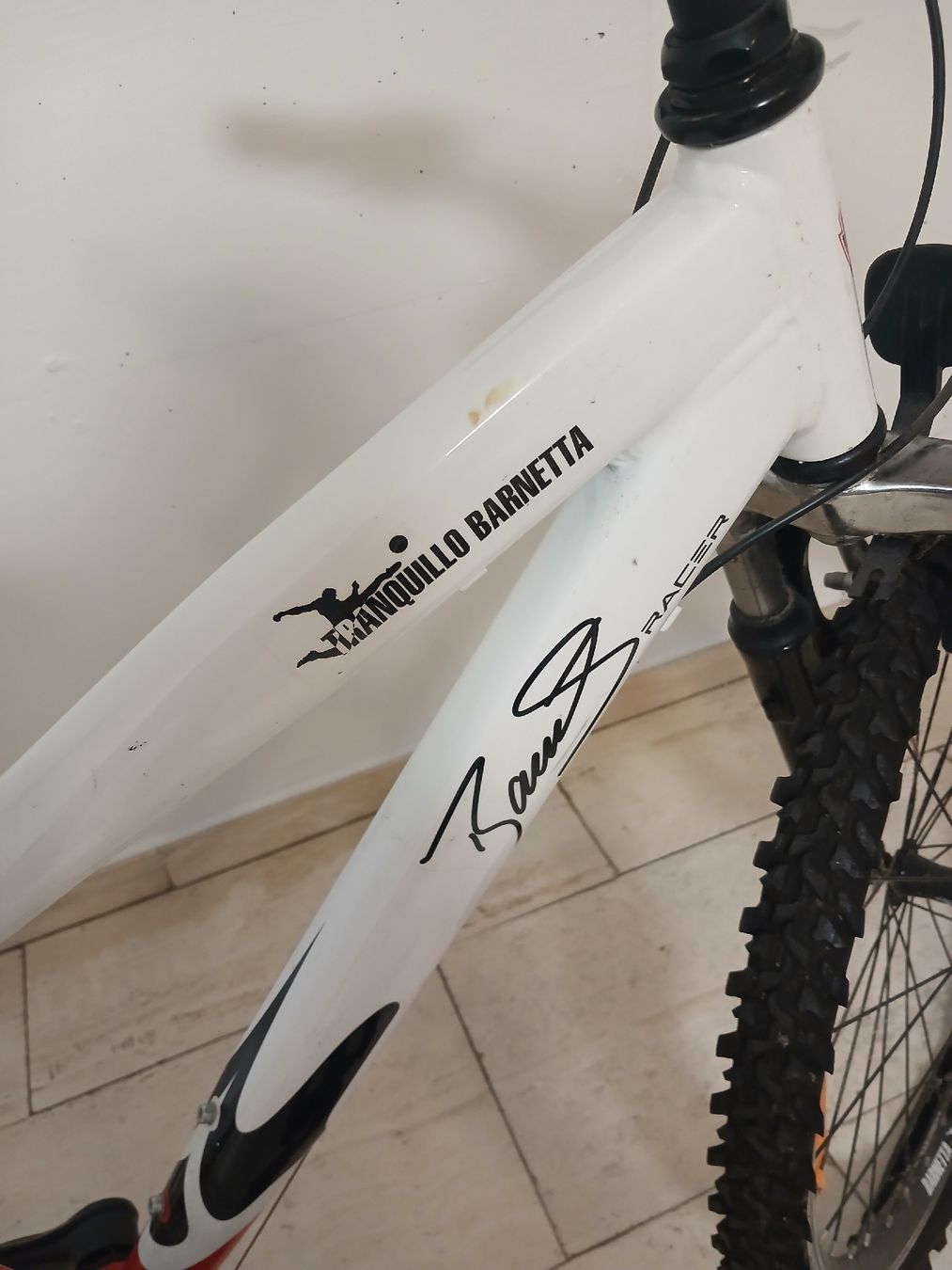 Velos: !!! Mountainbike Tranquillo Barnetta !!! – Gebraucht aus Reinach BL von Ibizo69 5