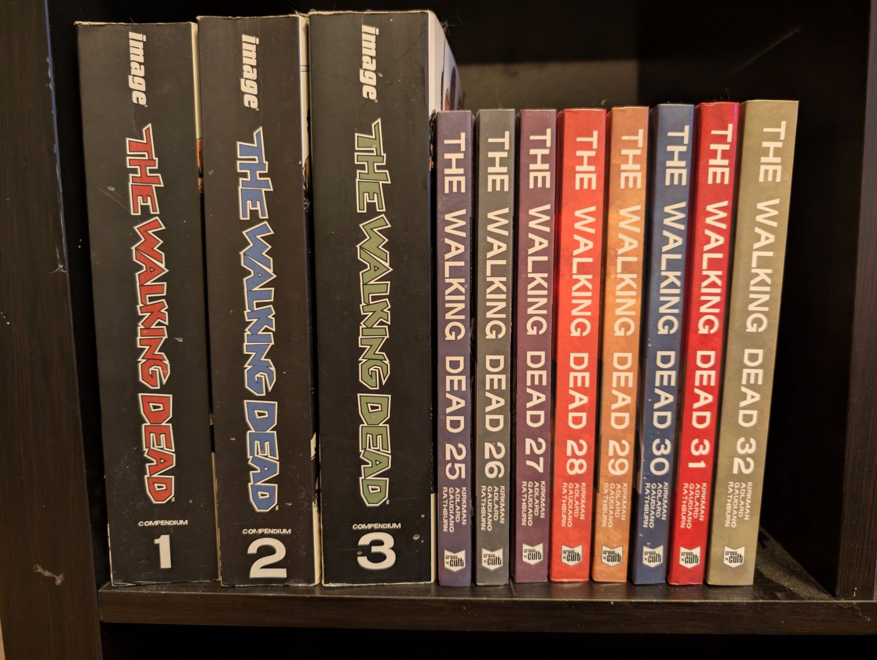 Fumetti: The Walking Dead Comics - komplette Sammlung – Usato da Winterthur venduto da DerFischer 1