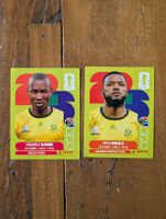 Panini South Africa
