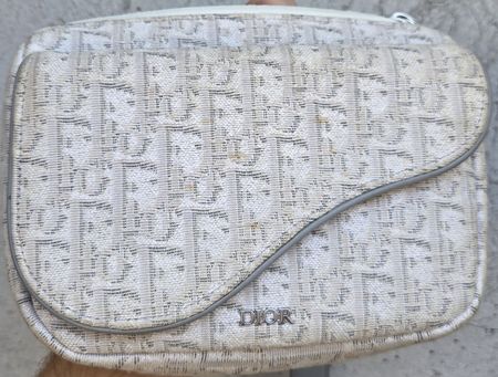 Dior Saddle Bag