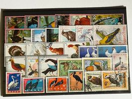 30 timbres différents thématique oiseaux