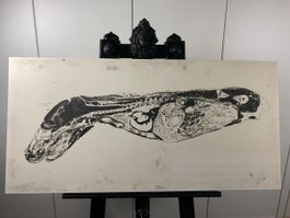 Anatomisches Bild 1976