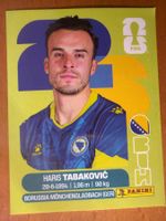 Panini BIH20