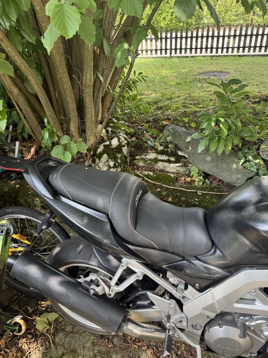 Suzuki Strasse: Suzuki SV1000 S – Gebraucht aus Luzern von Zadorozhnii 1