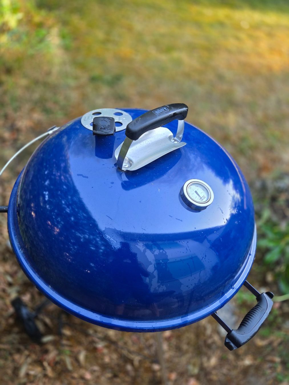 Weber Grils: Neuwertiger Weber Holzkohlegrill, Master – Neuf (Voir description) à Therwil par sunneblumen 2