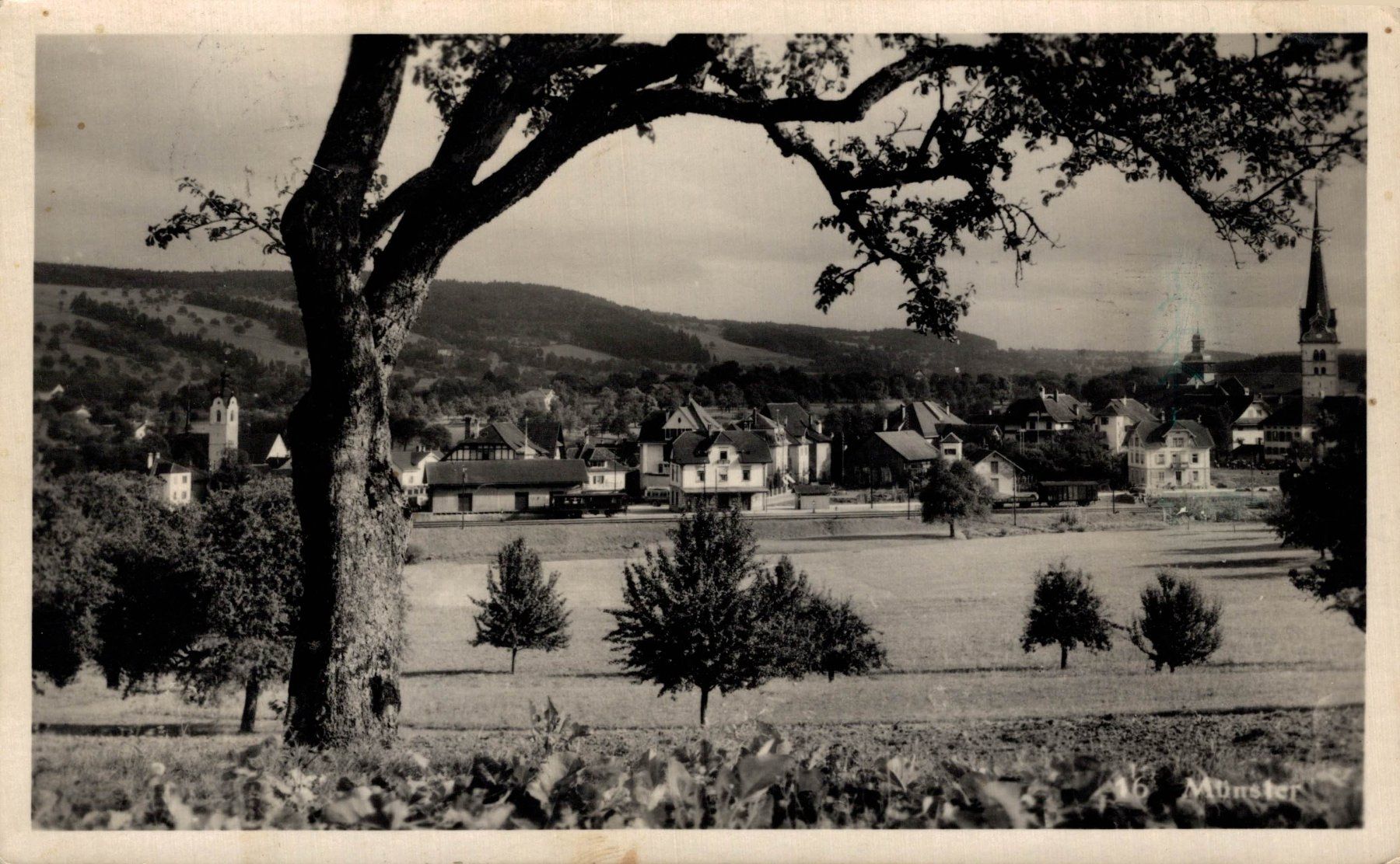 Cartoline postali: Münster (Beromünster) – Usato da Bronschhofen venduto da Astore