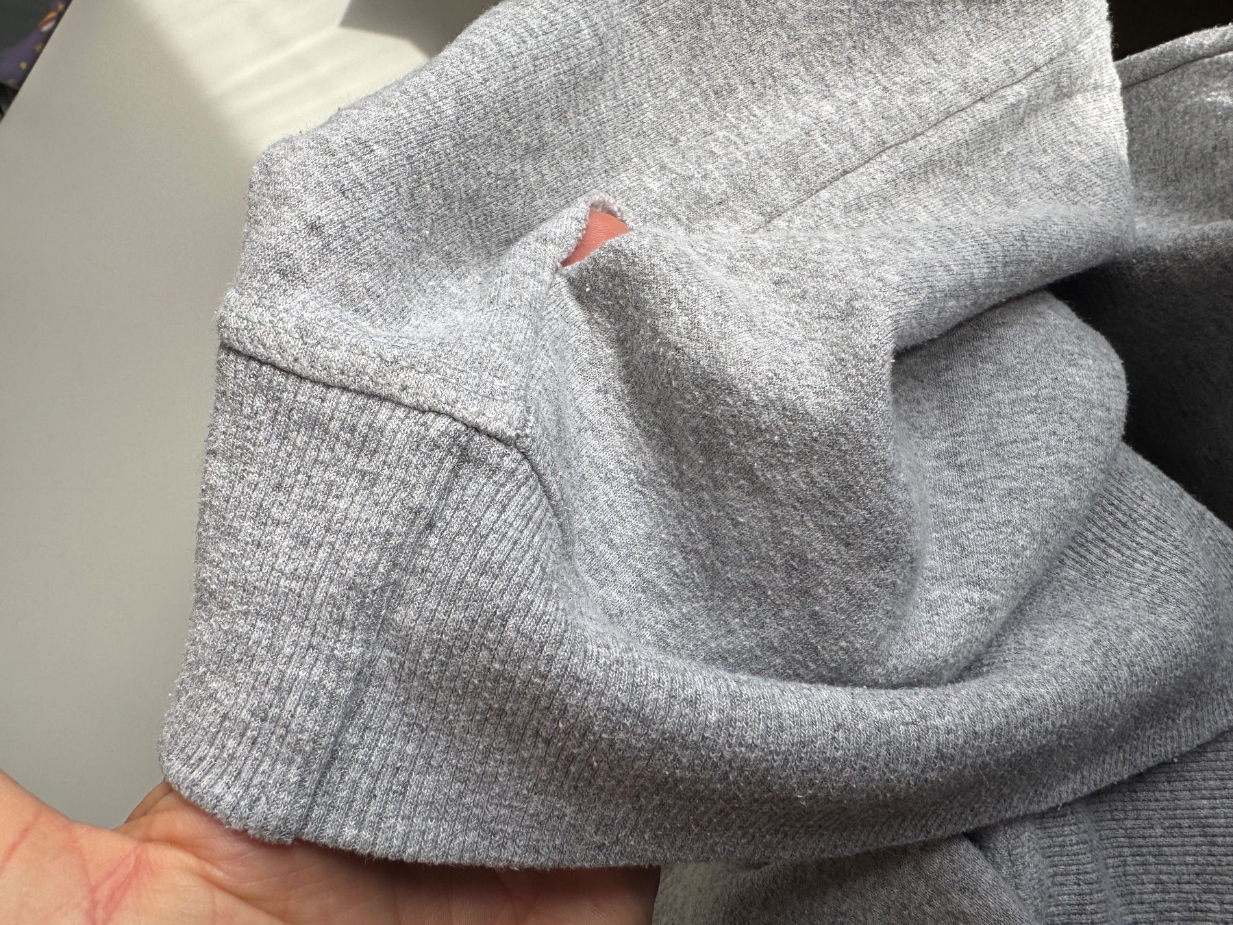 Champion Maglioni & Felpe: Champion Sweatshirt pullover crewneck Sz L – Usato da Neuchâtel venduto da _Easy_to_Find_ 7