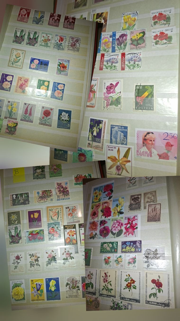 Alle Briefmarken: Sammlung Briefmarken / Bmumenmotive – Gebraucht aus Balgach von SIMEON27 1