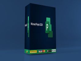 Microsoft project 2024 professional l multilingual -1PC-Bind