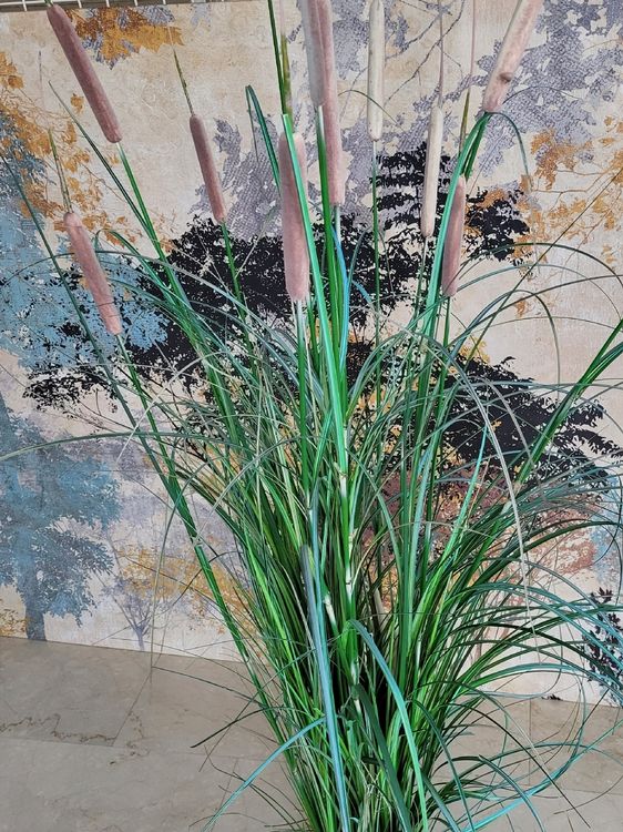 Künschtliche Schilfkolben / Schilfgras Kaufen auf Ricardo