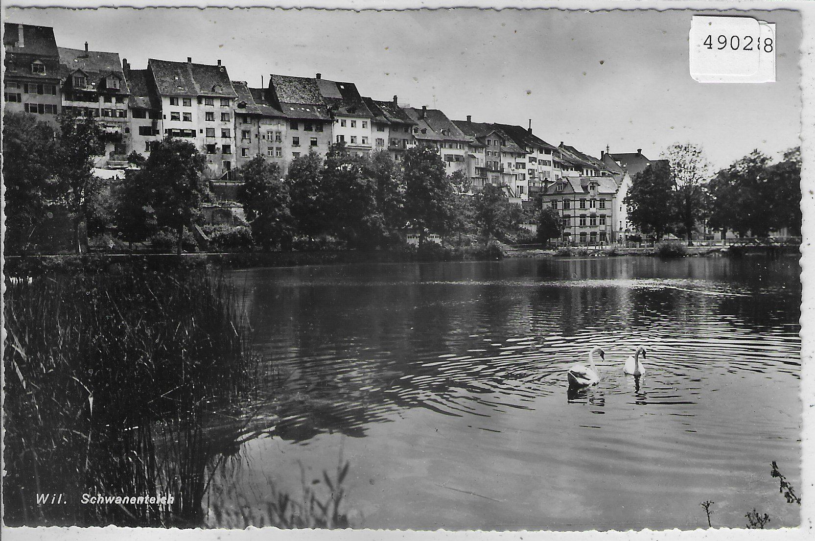 Cartoline postali: Wil SG - Schwanenteich – Usato da Ettingen venduto da Kartenplanet