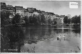 Wil SG - Schwanenteich