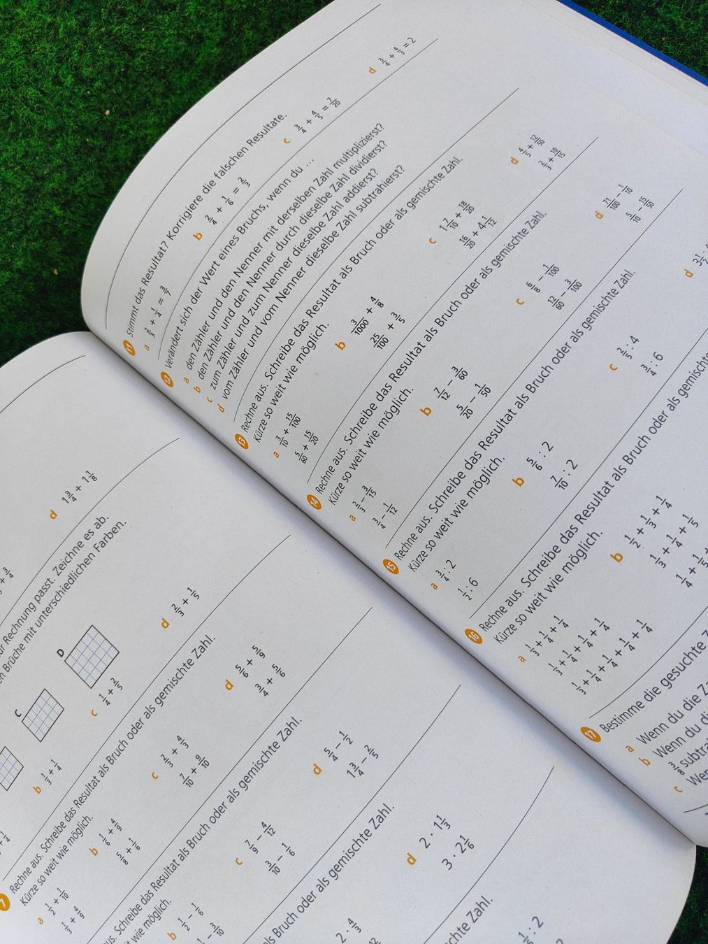 Bücher: Mathematik Themenbuch Primarstufe 6 Neu – Neu (gemäss Beschreibung) aus Davos Platz von wauwauin 1
