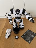 Robosapien X 8006/8009