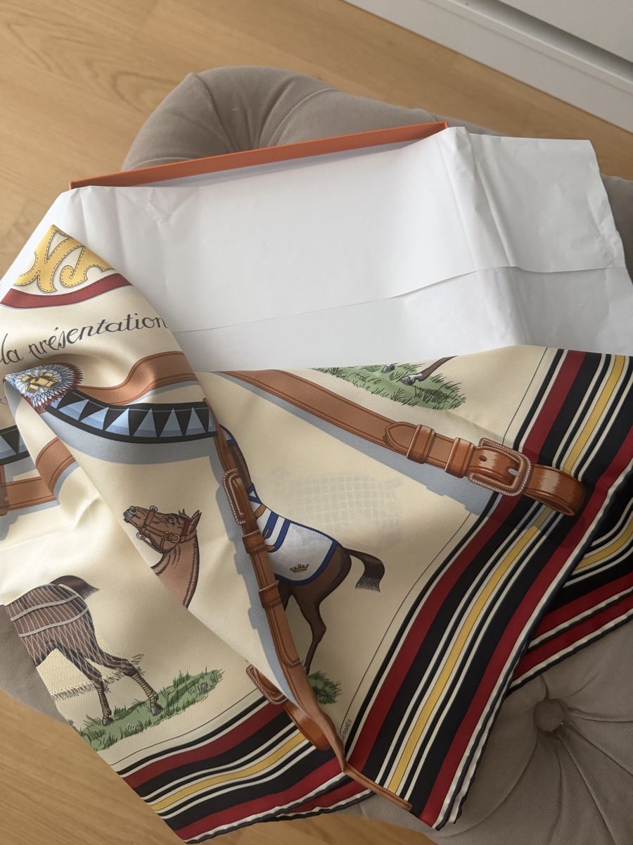 Hermès Foulards, Tücher & Schals: Hermès Seidentuch – Neu (gemäss Beschreibung) aus Wädenswil von Fr_an_cii 1