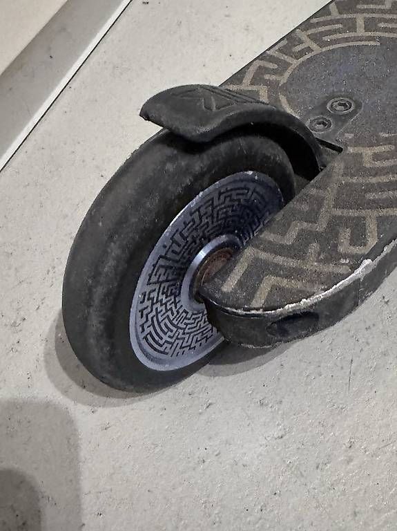 Kickboard: Chilli Scooter – Gebraucht aus Reinach BL von Enodel 2