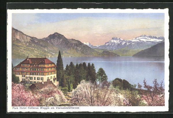 Cartoline postali: AK Weggis, Park Hotel Bellevue – Usato da Berlin venduto da bartko-reher