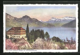 AK Weggis, Park Hotel Bellevue