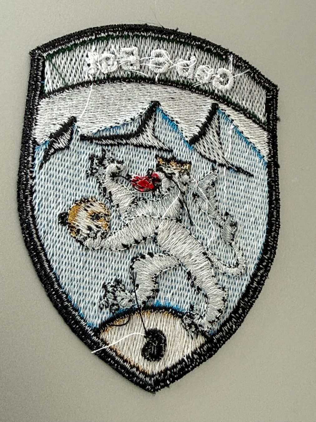 Schweizer Armee Placchette & Badge: A-Badge: Geb S Bat 6 (Stab) - Schweizer Armee – Usato da Brütten venduto da Hst1 1