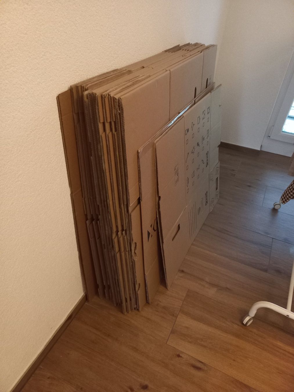 Cartoni: Umzugskarton – Usato da Abtwil SG venduto da janetmani2002