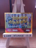 Carte FIFA Museum Brésil 1994 FWC 15