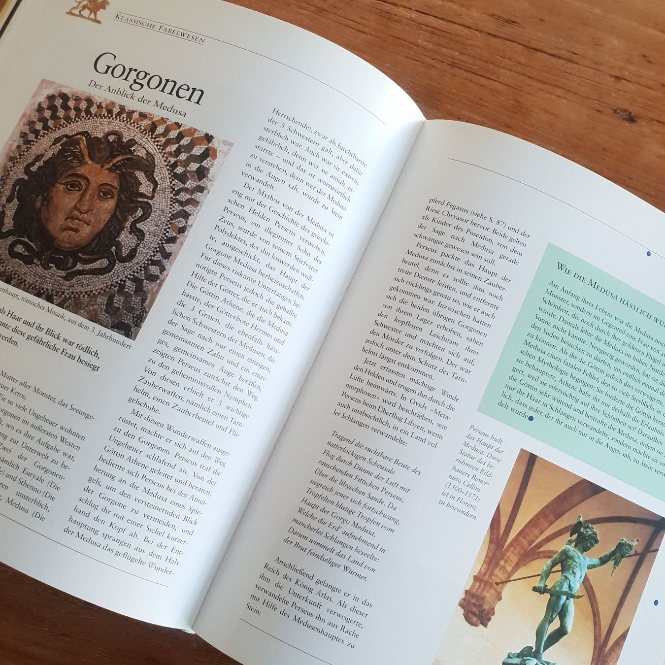Bücher: 🐸 Von Drachen, Yetis und Vampiren – Gebraucht aus Môtier (Vully) von Frogs 9