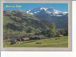 Lenk 1997