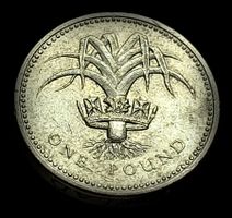 GROSSBRITANNIEN 1 POUND 1985
