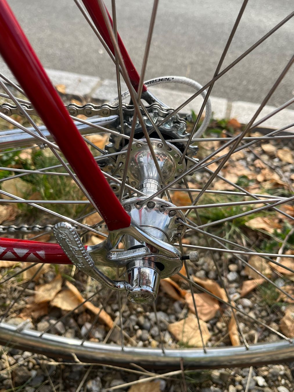 Colnago Velos: Colnago Master Del Tongo mit Campagnolo C Record – Gebraucht aus Luzern von TilaShe 3