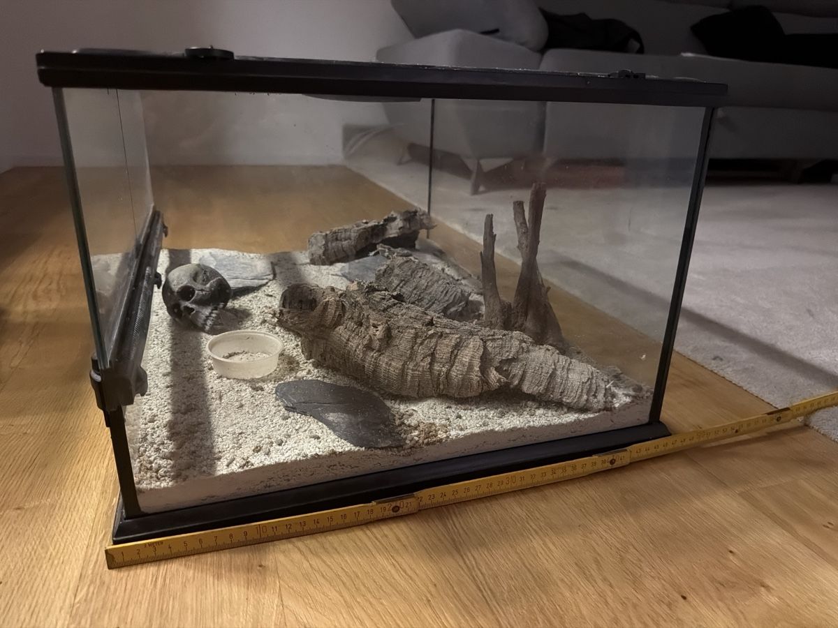 Terrariums: Exo terra Terrarium – D'occasion à Horgen par bok_6ttc 3
