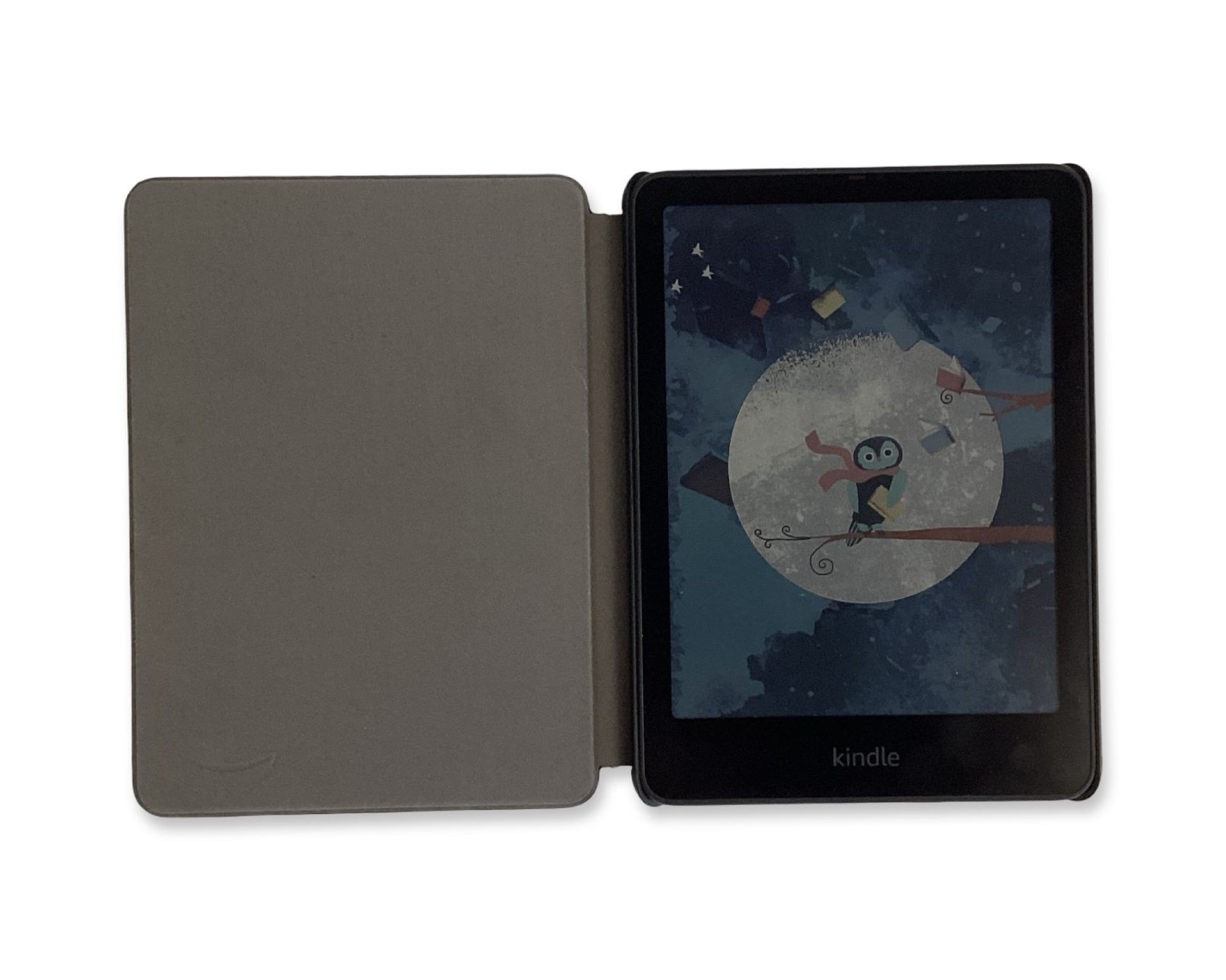 Amazon Tablet PC: AMAZON Kindle Colorsoft Signature Edition – Usato da Zürich venduto da Restwert_Zuerich