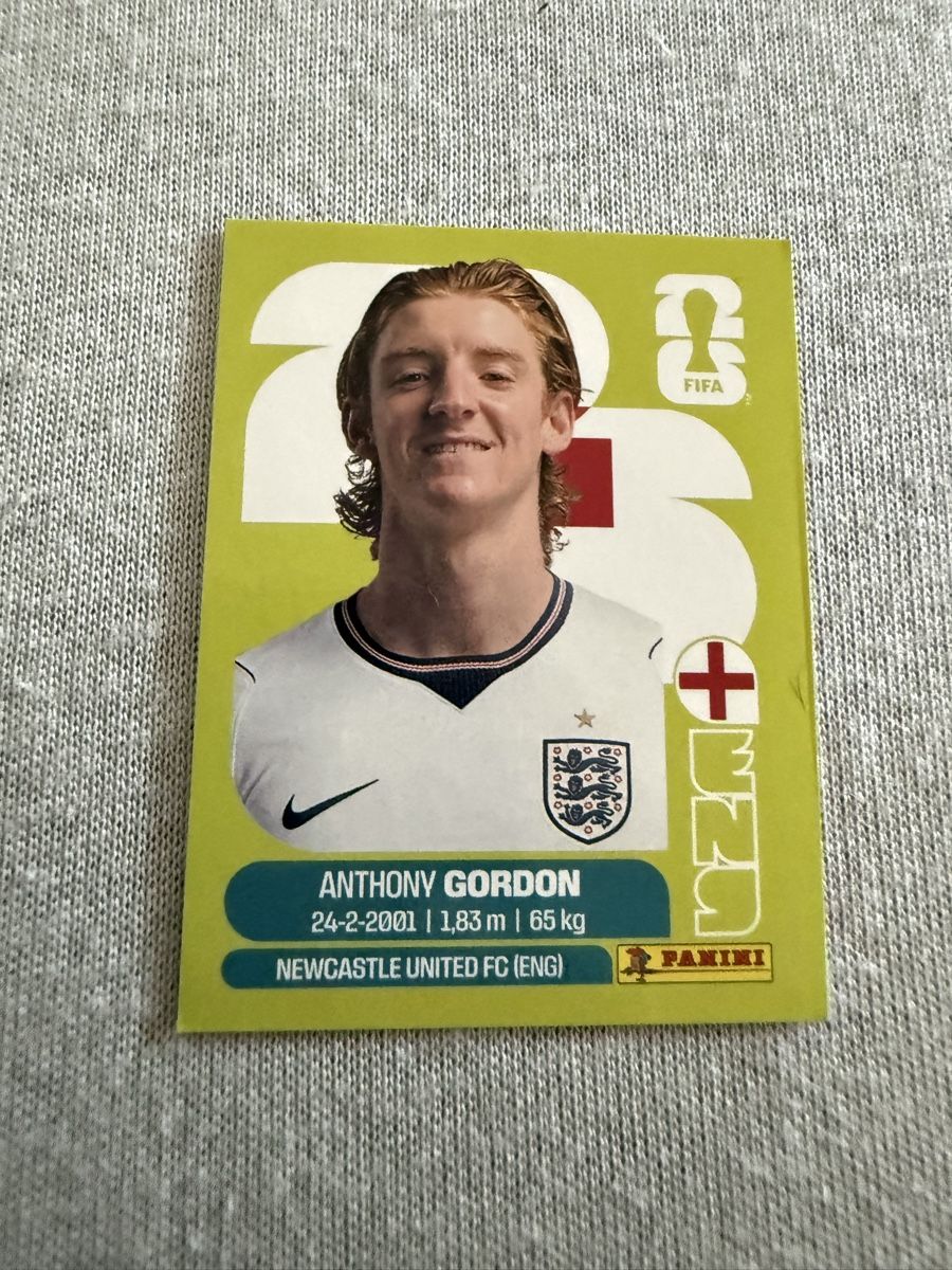 Panini Carte collezionabili: ENG15, Anthony Gordon, Panini  – Nuovo (secondo la descrizione) da Amriswil venduto da ALETAL