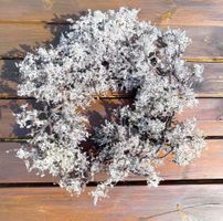 2 grosse Dekorative Kränze mit Frost Imitation / Eis / etc.