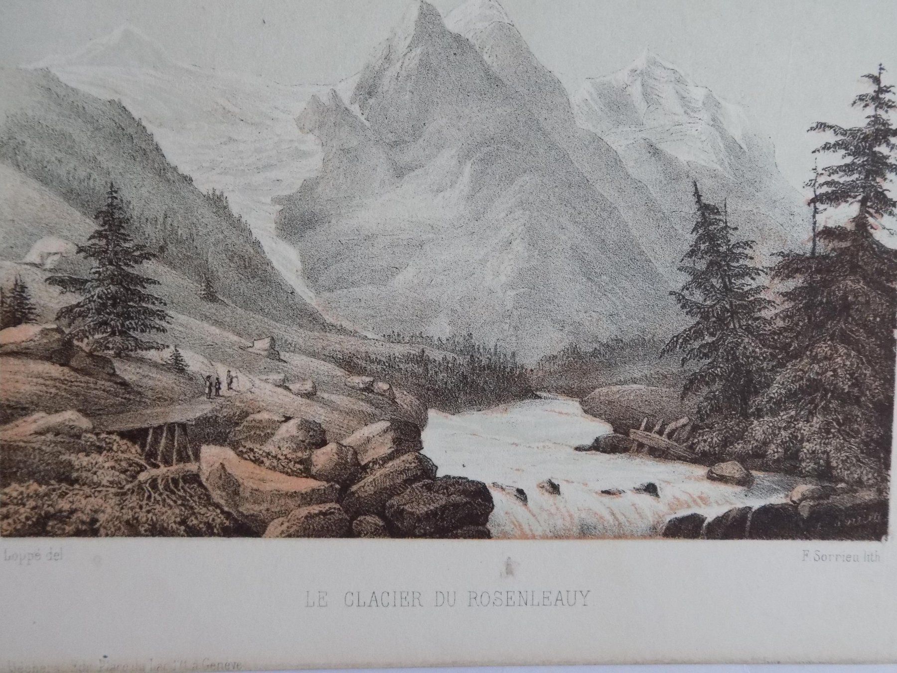 Incisioni: Rosenlaui-Gletscher Loppé – Usato da Risch venduto da Antikfee 3