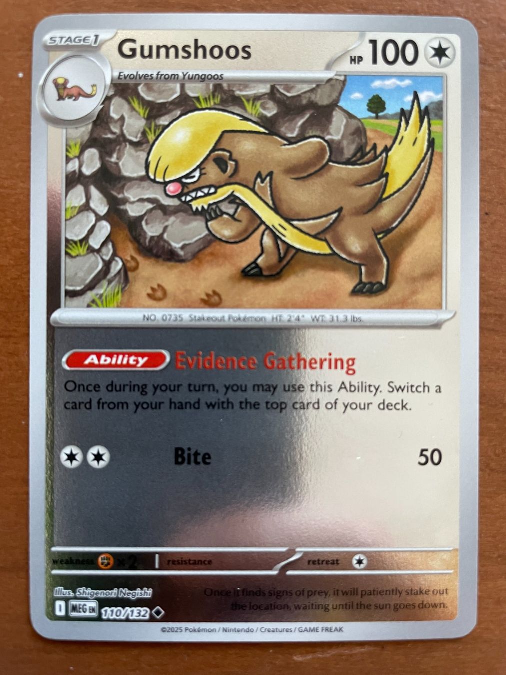 Pokémon Carte collezionabili: Pokemon Gumshoos Reverse (Versand gratis) – Nuovo (secondo la descrizione) da Chur venduto da Angerson