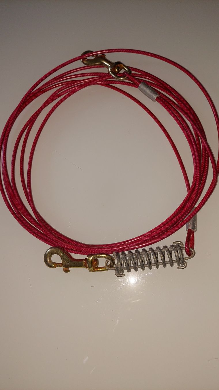 Trixie Leine & Halsband: Anbinde Leine für Hund – Gebraucht aus Azmoos von Gasienz